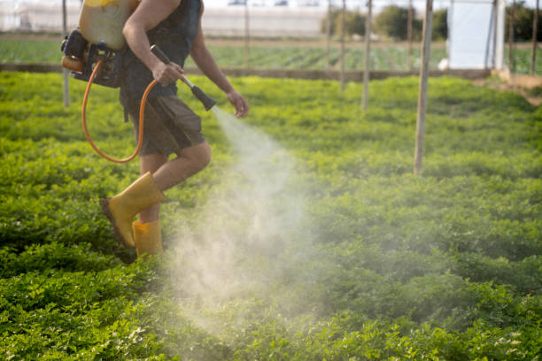 Best Affordable Exterminators  in Ragland, AL