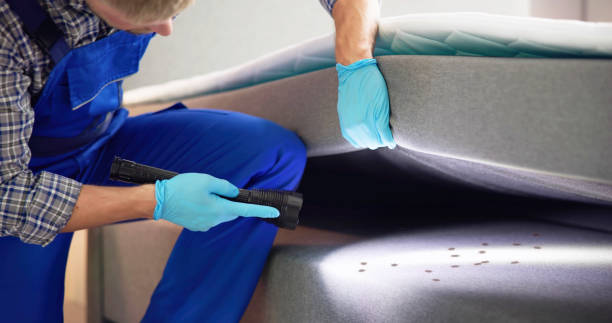 Best Mosquito Control Services  in Ragland, AL